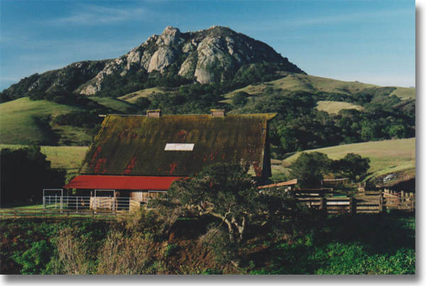 Central Coast